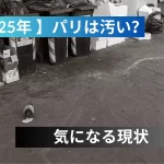 パリ 汚い 1
